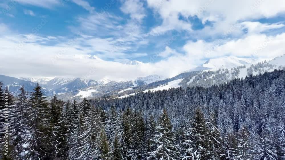 Beautiful snow covered fir forest trees motion view in mountains Beautiful snow covered fir forest trees motion view in mountains