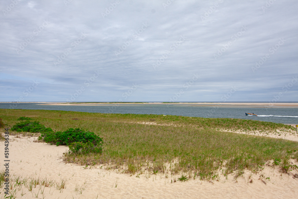 Cloudy Sky With a Sandy Beach Covered With Vegetation 