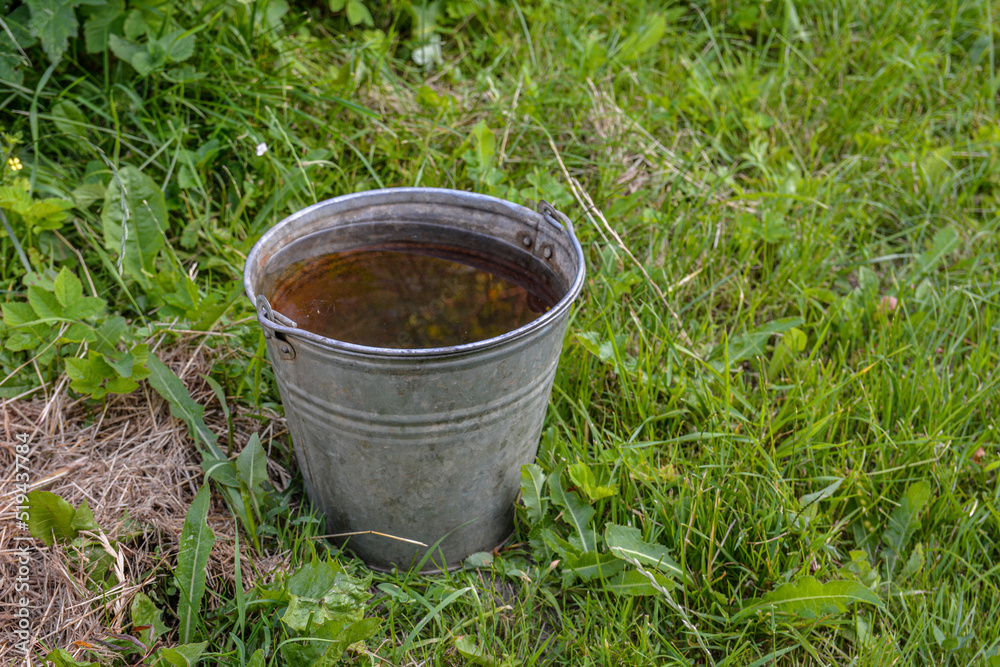iron bucket of clean water on the grass iron bucket of clean water on the grass