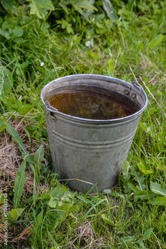 iron bucket of clean water on the grass