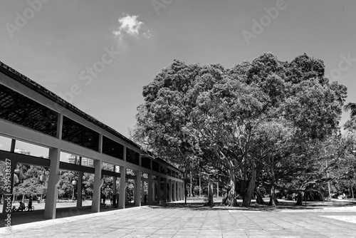 Fototapeta Naklejka Na Ścianę i Meble -  black and white building in Ibirapuera Park