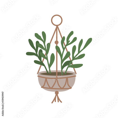 Plant in hanging pot. Houseplant hang on rope, decorative indoor plant, macrame flower pot, home potted plant vector illustration icon. Flower in pot on stand. Home jungle