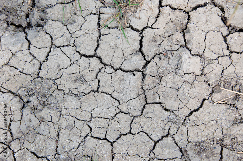 Wasteland background. Desert wasteland texture. Cracked dried wasteland ground surface. Arid land Wasteland background. Desert wasteland texture. Cracked dried wasteland ground surface. Arid land
