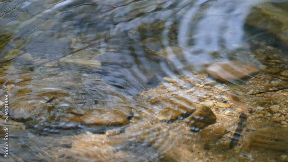 video fiume in 4k video fiume in 4k