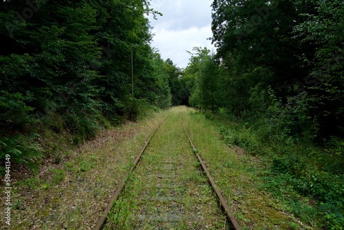 railway unused, overgrown since long time