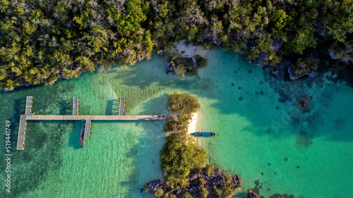 Aerial view of jetty  and mangroves, Baer island, Kei islands, Maluku Province, Indonesia