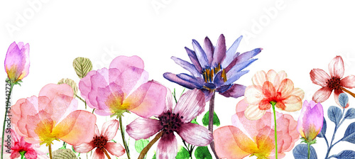 Banner con fiori delicati rosa e viola, dipinto ad acquerello isolato su sfondo bianco