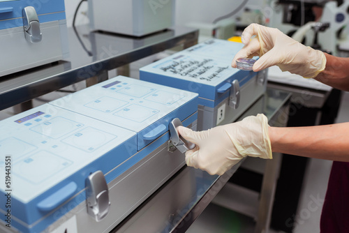 work with a female egg in the center of reproductive medicine. artificial fertilization of the egg in the medical office. freezing female eggs in a medical device