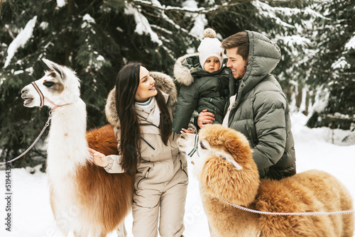 family of three young beautiful woman and man fashion stylish winter clothes overall, baby boy son standing and hugging with llama alpaca pet in snowy pine forest, winter spirit and family having fun