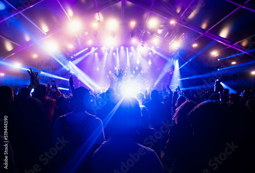 crowd at concert - summer music festival