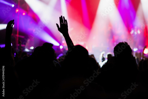 crowd at concert - summer music festival