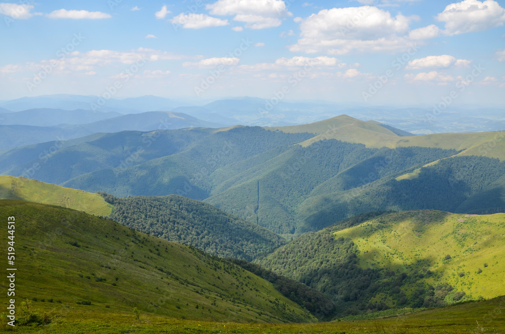 Natural summer landscape with green mountains covered grassy meadows and forest on sunny day. Borzhava, Carpathians, Ukraine