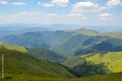 Natural summer landscape with green mountains covered grassy meadows and forest on sunny day. Borzhava, Carpathians, Ukraine © Dmytro