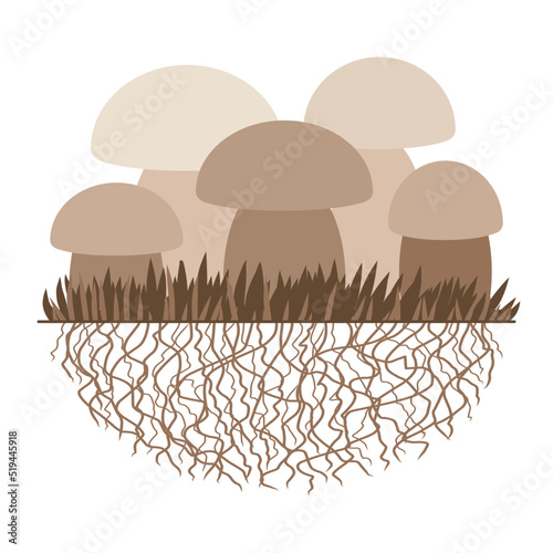 Mushrooms and vegetation. Reproduction fungus. Mycelium and spore. Vector illustration. Flat style. monochrome. Isolated on white.