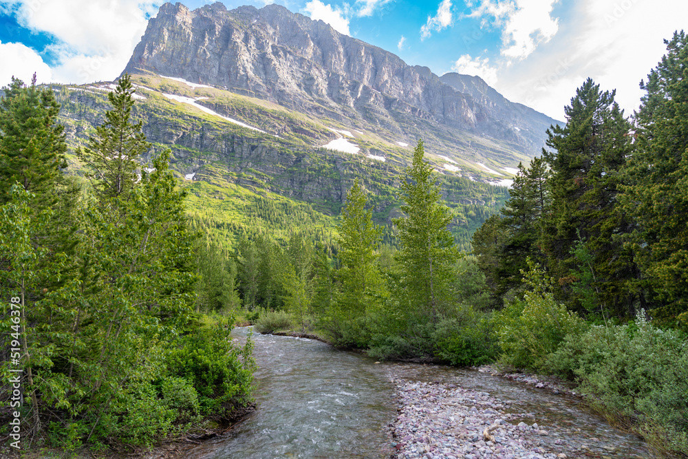 Scenery along the Swiftcurrent Pass hiking trail in Glacier National Park Montana USA Scenery along the Swiftcurrent Pass hiking trail in Glacier National Park Montana USA
