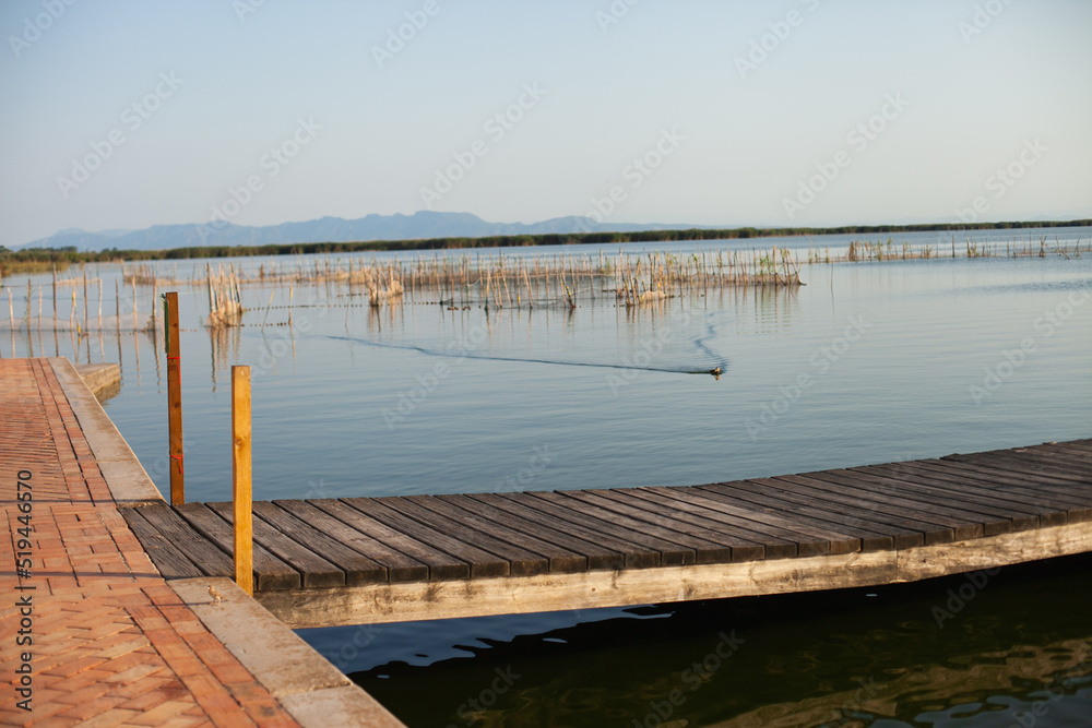 Obraz premium Wooden pier with old boats at the lake on sunny day in natural park resort. Can serene landscape with boat jetty or embarcadero in summer at sunset through foliage of trees
