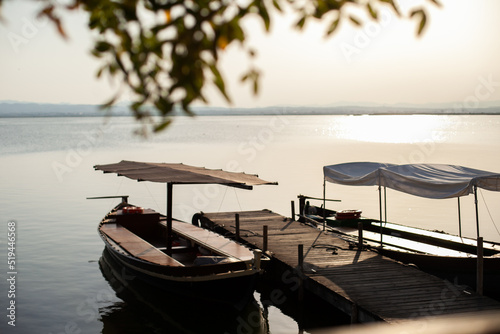 Wooden pier with old boats at the lake on sunny day in natural park resort. Can serene landscape with boat jetty or embarcadero in summer at sunset through foliage of trees