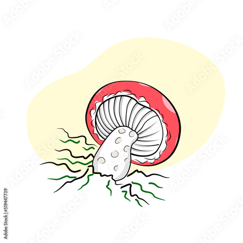 Mushroom drawing champignon, porcini, greasers, suillellus, boletus, russule, russulacea, amanita, death cap. Vector graphic stock image. Children book isolated illustration.