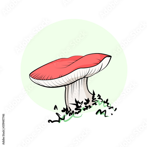 Mushroom drawing champignon, porcini, greasers, suillellus, boletus, russule, russulacea, amanita, death cap. Vector graphic stock image. Children book isolated illustration.