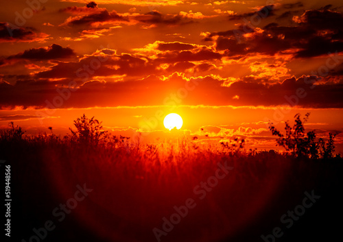 Red sunset of the hot sun on the background of the silhouette of a tree and dry grass. Red Sky. Global warming, climate change, extreme heat waves. Hot evening. Danger of fire.