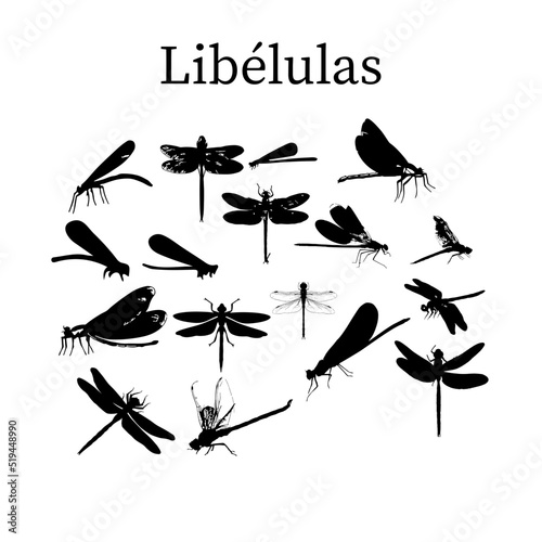 Libélulas, silueta vectorial
