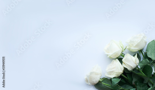 Flowers composition. Frame made of white rose flowers on white background. Valentines day, mothers day and womens day concept. Flat lay, top view © Viktoriia