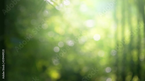 Wallpaper Mural green bokeh background Torontodigital.ca