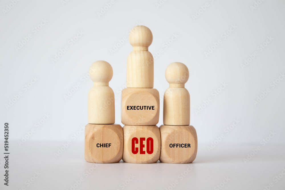 CEO text Chief Executive Officer on colorful wooden cubes CEO text Chief Executive Officer on colorful wooden cubes
