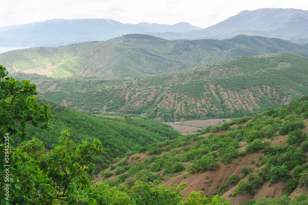 Crimea hills