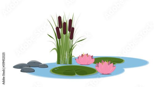 cartoon illustration of a beautiful small pond