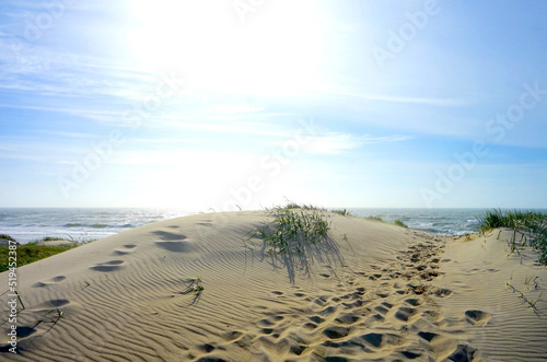 sand dunes on the beach with view to the ocean in front of the blue sky and the sun, holiday in denmark, danish North Sea coast