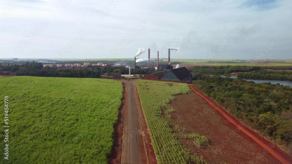 Sugar cane, flight showing a sugar cane plantation and a mill in a small town in Brazil 4k, drone Sugar cane, flight showing a sugar cane plantation and a mill in a small town in Brazil 4k, drone