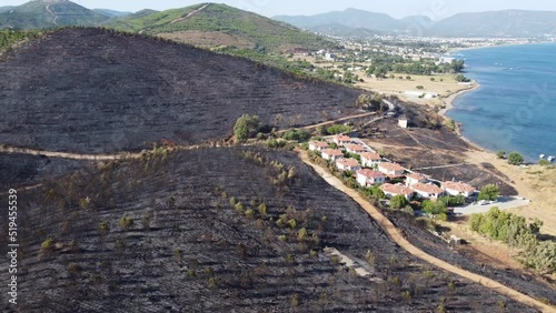 Izmir, Turkey - July 23, 2022: Aerial top view aftermath the forest fire at Derya site Seferihisar Doganbey Turkey photo