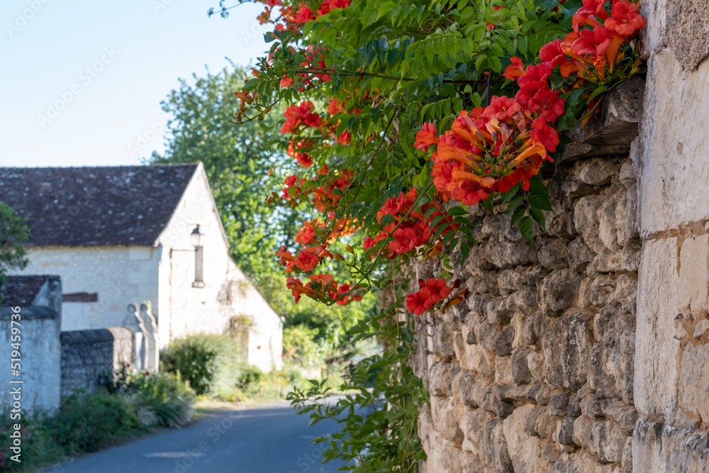 Country lane in the picturesque village of Crissay sur Manse. The village is considered one of the most beautiful in France.