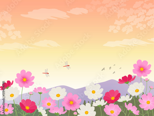 コスモスと秋の山の風景_イメージ背景_ベクターイラスト
