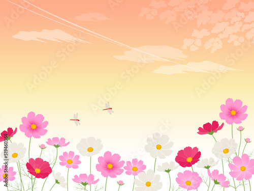 夕焼けとコスモス畑_イメージ背景_ベクターイラスト