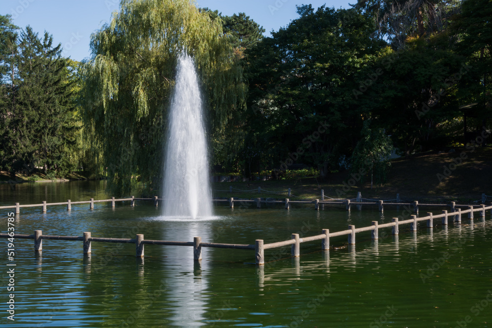 夏の緑の都市公園の噴水
