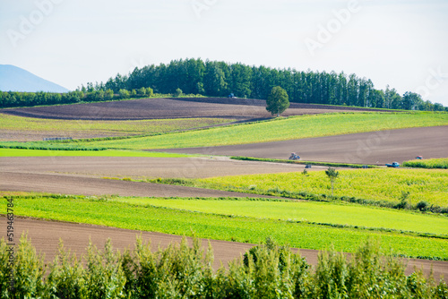 緑の畑作地帯と農作業
