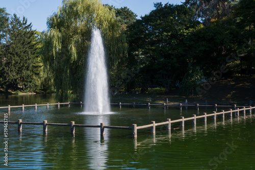 夏の緑の都市公園の噴水 