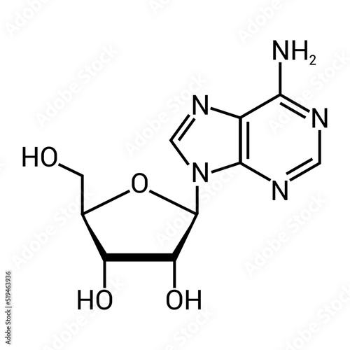 chemical structure of Adenosine  C10H13N5O4 