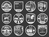 Music instrument, microphone and vinyl record player vector badges. Isolated musical icons with drums, pianos, guitars and retro gramophones, notes, shamisen, flutes, tanbur, trumpets and tubes