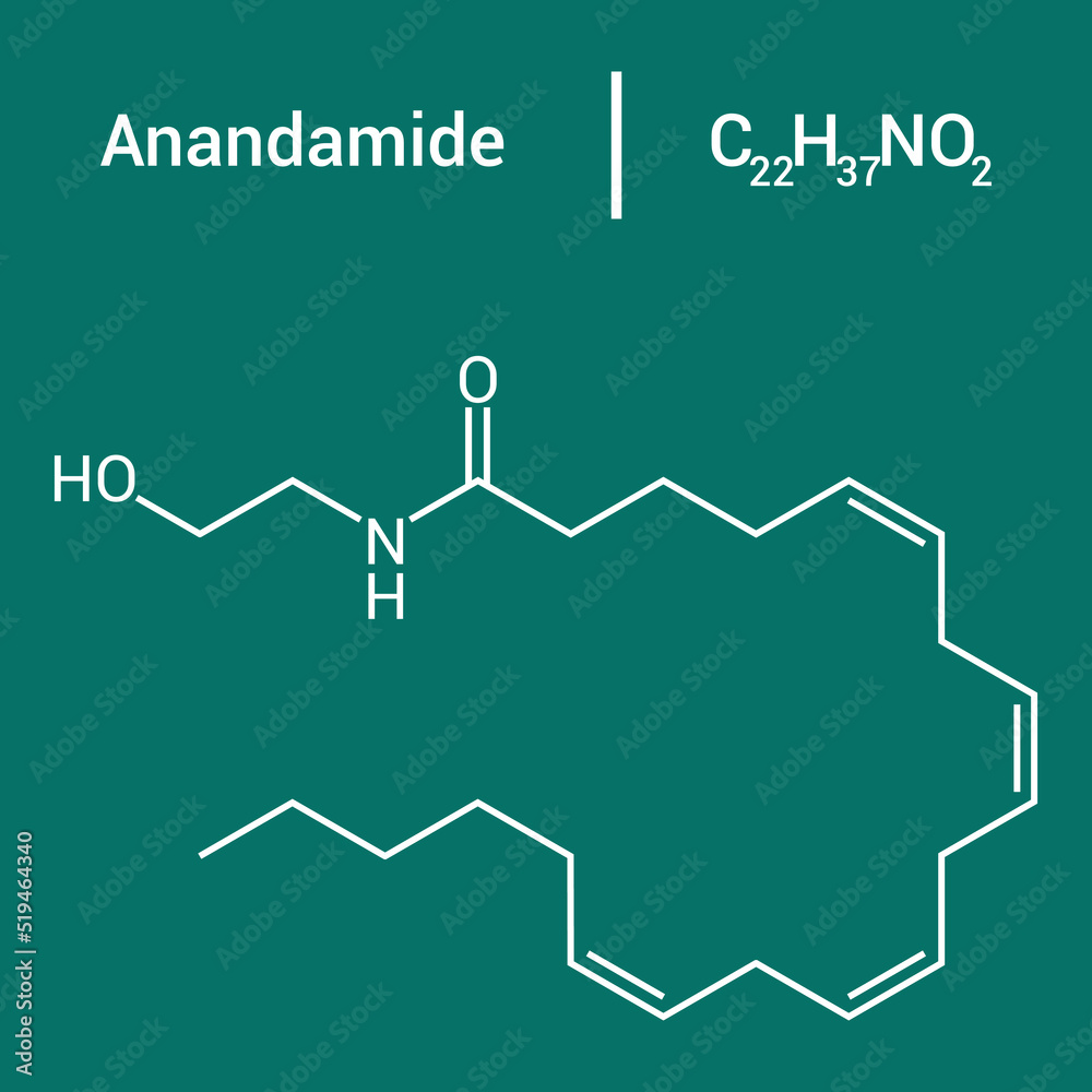 chemical structure of Anandamide (C22H37NO2) chemical structure of Anandamide (C22H37NO2)