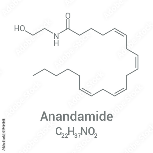 chemical structure of Anandamide (C22H37NO2)