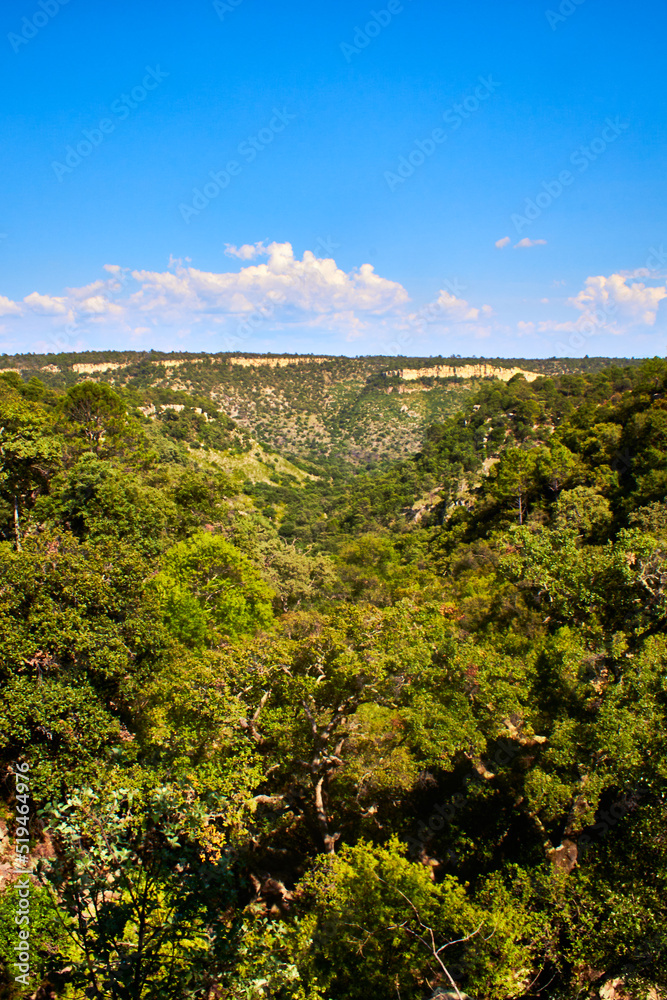 valley in middle of the mountains with blue sky and green vegetation in tropical forest in monte escobedo, zacatecas 