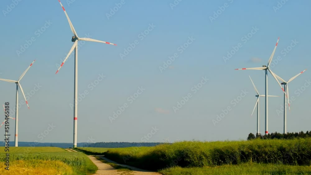Wind generators set in a field. renewable clean energy. Ripe wheat and windmills. 4k footage