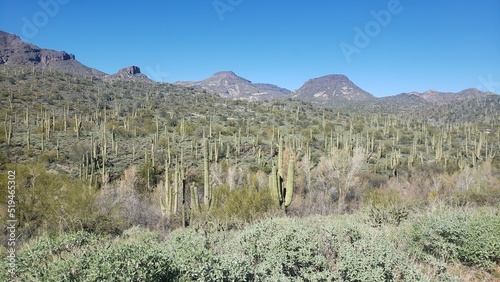 landscape in the mountains