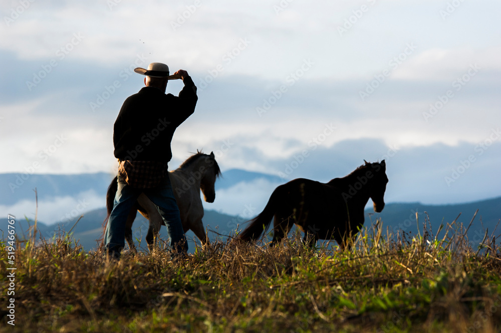 cowboy from the back looking at mountain landscape and two horses passing by