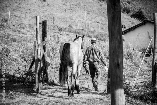 cowboy pulling his horse