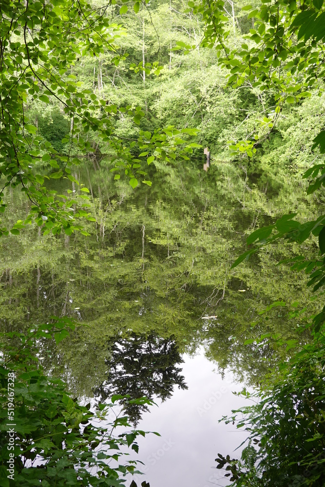 Obraz premium Bloedel Reserve - Bainbridge Island - Washington