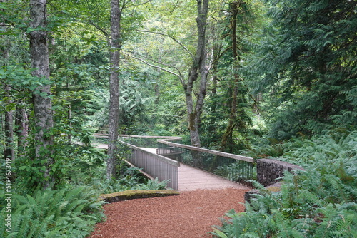 Bloedel Reserve - Bainbridge Island - Washington